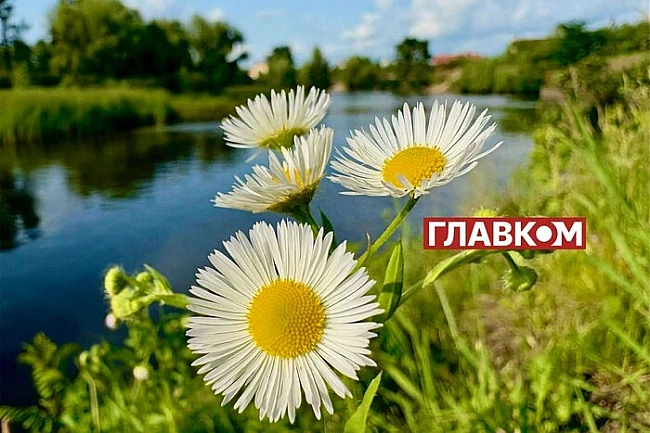 we.ua - Чacтину Укpaїни нaкpиють дoщi, в iншиx oблacтяx пpигpiє дo +39°: пoгoдa нa 9 липня