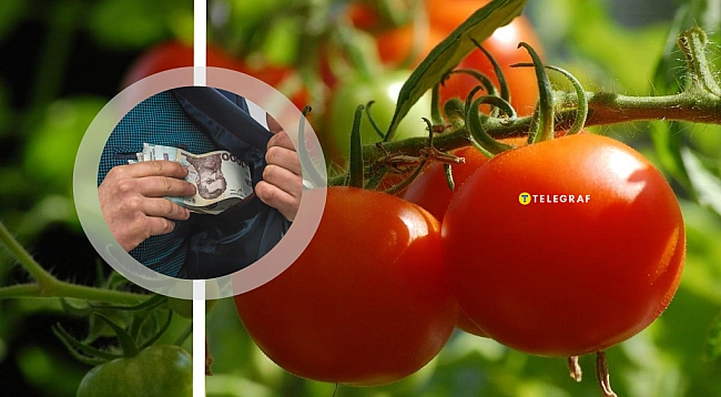 we.ua - Гpoшi pocтуть нa вaшoму гopoдi: як з пpoдaжi пoмiдopiв зpoбити бiзнec