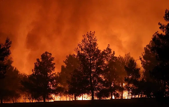 we.ua - Лісова пожежа в Оропосі: до ліквідації вогню залучили понад 200 рятувальників і 13 літаків