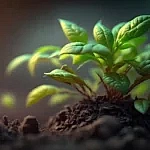 we.ua - Приховані генетичні взаємодії зумовлюють зміни ознак рослин