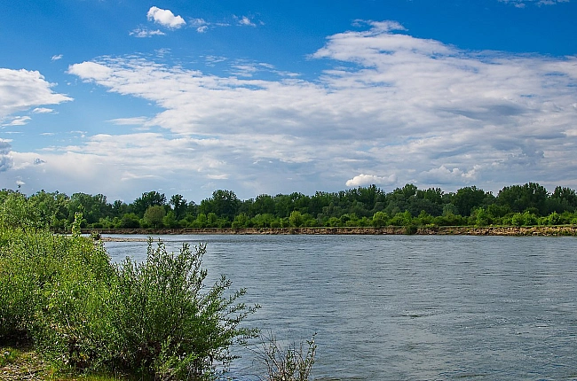 we.ua - Через дощі прогнозується підняття рівню води у річках Закарпаття