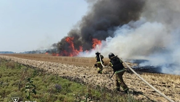 we.ua - На Донеччині через ворожі обстріли вигоріли поля пшениці