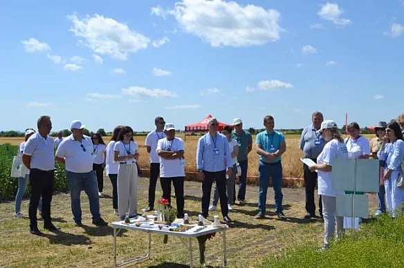 we.ua - День поля на Тернопільщині: обмін досвідом і демонстрація нових агротехнологій