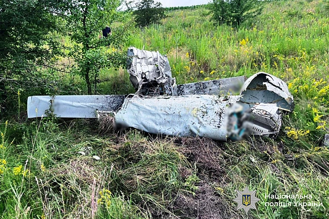 we.ua - Не вибухнув під час падіння: на Вінниччині знешкодили бойову частину безпілотника