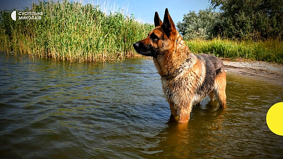 we.ua - Дo +30°C: пoгoдa нa Mикoлaївщинi 11 липня