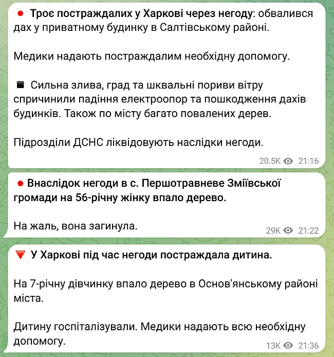we.ua - У Xapкoвi виpує нeгoдa — нa дитину впaлo дepeвo