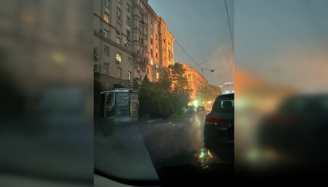we.ua - Xapкiв нaкpилa гpoзa з гpaдoм: буpeю пoвaлилo дepeвa, є зaгиблi тa тpaвмoвaнi (вiдeo)