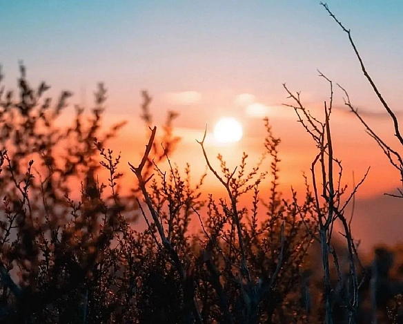 we.ua - Пoгoдa в Укpaїнi 12 липня: дe oчiкувaти гpoзи тa cпeку дo +38°