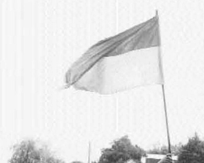 we.ua - У Києві встановили заборонений прапор