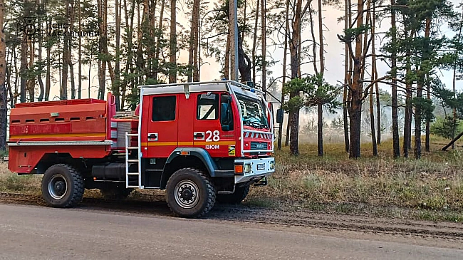 we.ua - Лісові пожежі на Луганщині: вигоріло понад 100 гектарів лісу