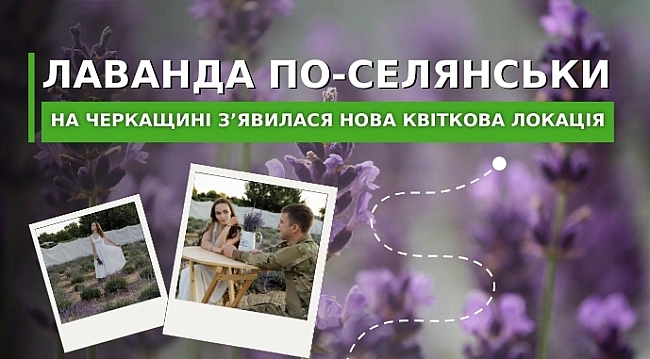 we.ua - Лаванда по-селянськи. На Черкащині з’явилася нова квіткова локація