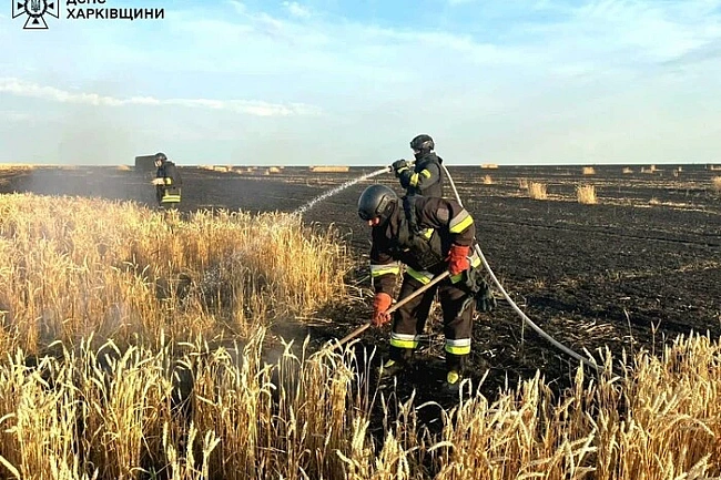 we.ua - На Харківщині після удару РФ загорілося пшеничне поле: вогонь охопив 60 гектарів
