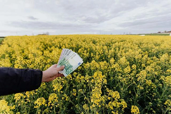 we.ua - Ціна у 50 гривень за валюту у липні: чи реальний такий прогноз курсу євро