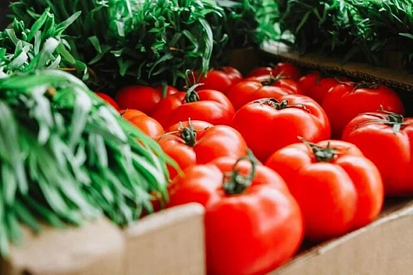we.ua - У Києві з 15 по 20 липня відбудуться продуктові ярмарки: перелік адрес