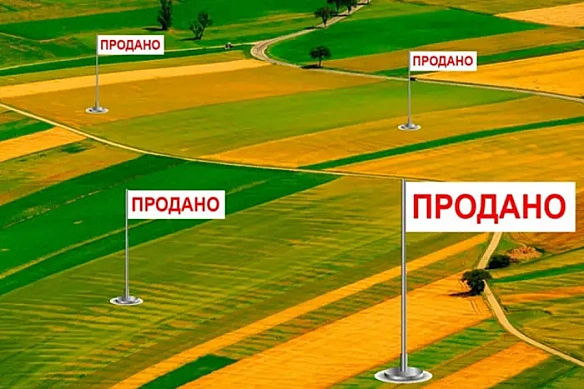we.ua - Ціни стрімко зросли. Як змінилася вартість гектара за час роботи ринку землі