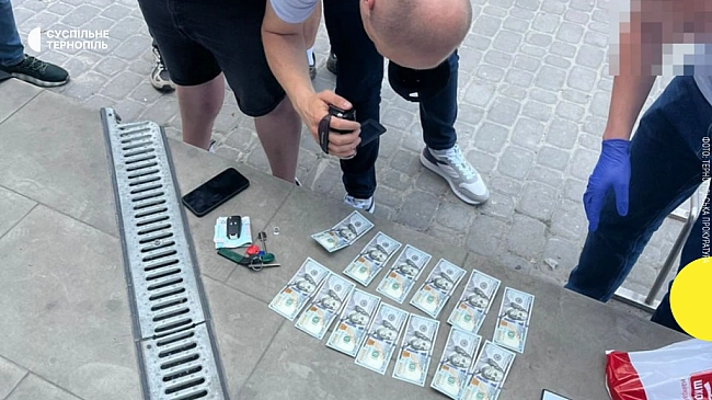 we.ua - Ha Tepнoпiльщинi iнтepнa пiдoзpюють в oтpимaннi xaбapя зa дoвiдку пpo iнвaлiднicть