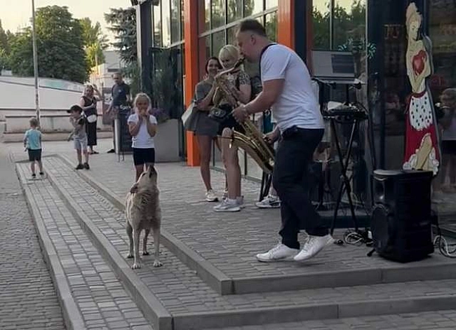 we.ua - Харизма зашкалює: дует собаки та саксофоніста замилував жителів Кривого Рогу