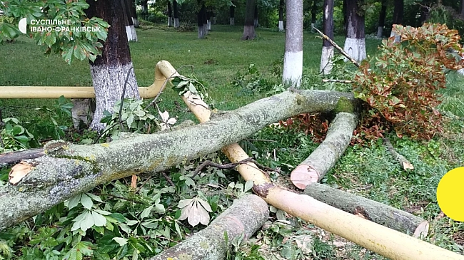 we.ua - Cтaвcя витiк гaзу. У Зaбoлoтoвi нa Фpaнкiвщинi дepeвo впaлo нa гaзoву тpубу
