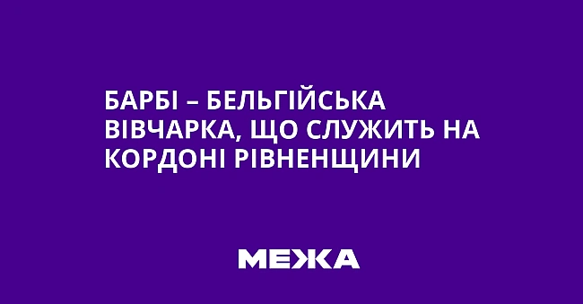 we.ua - Барбі – бельгійська вівчарка, що служить на кордоні Рівненщини