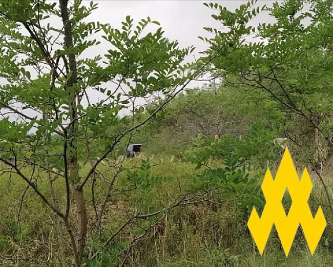 we.ua - Підпільник викрив позиції окупантів на Донбасі