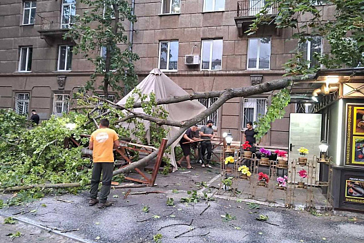 Повалені дерева та пошкоджені авто: в Одесі шторм накоїв лиха - we.ua