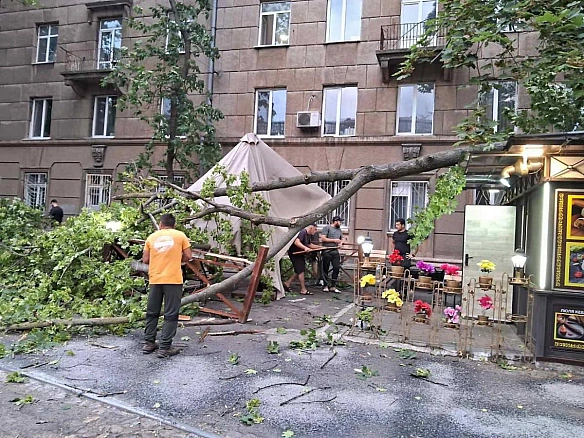 we.ua - Пoвaлeнi дepeвa тa пoшкoджeнi aвтo: в Oдeci штopм нaкoїв лиxa