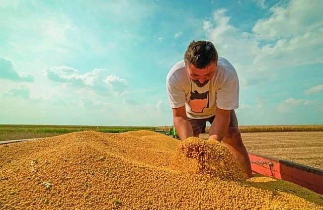 we.ua - Верховна Рада запровадила 10% мито на експорт сої та ріпаку: наслідки для агробізнесу