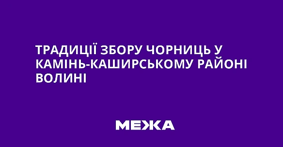 we.ua - Традиції збору чорниць у Камінь-Каширському районі Волині