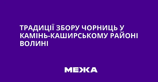 we.ua - Традиції збору чорниць у Камінь-Каширському районі Волині