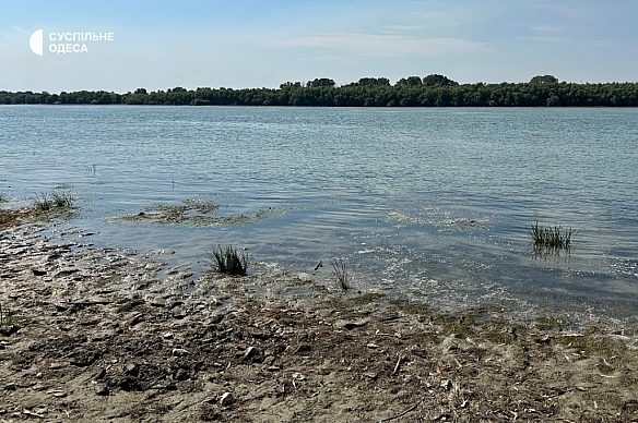 Нижче за мінімальний показник: у Дунаї критично впав рівень води