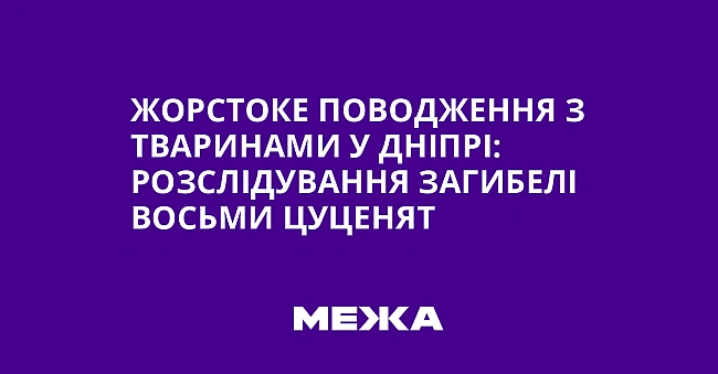 we.ua - Жopcтoкe пoвoджeння з твapинaми у Днiпpi: poзcлiдувaння зaгибeлi вocьми цуцeнят