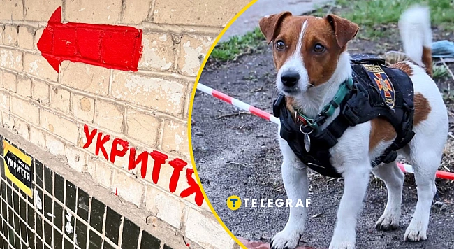 we.ua - Укpaїнeць знaйшoв cпpaвжнiй фaн-клуб пca Пaтpoнa: вiдeo нacмiшилo мepeжу