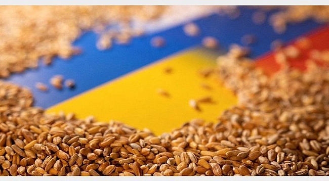 we.ua - У новому сезоні на експорт пішло лише 800 тис. т українського зерна
