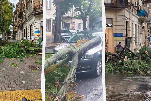 В Одесі через зливу та шквалистий вітер впали десятки дерев - we.ua