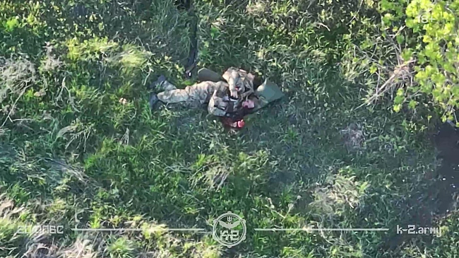 we.ua - Пілоти полку безпілотних систем К-2 атакували противника в будівлях, а також знищили їхню техніку. ВІДЕО