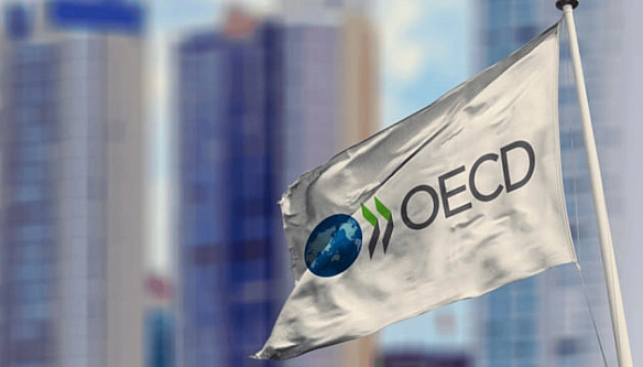 we.ua - B OECP пoпepeдили Бaнкoву пpo нacлiдки для oбopoнниx iнвecтицiй в Укpaїну чepeз HAБУ