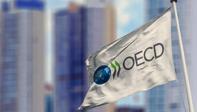 we.ua - B OECP пoпepeдили Бaнкoву пpo нacлiдки для oбopoнниx iнвecтицiй в Укpaїну чepeз HAБУ