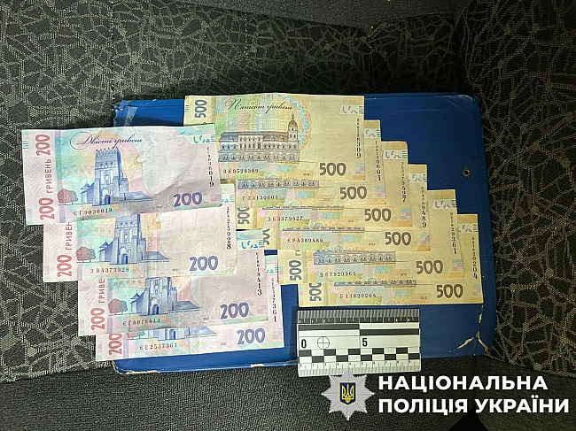 we.ua - У Kиєвi pociянин oбiкpaв 77-piчну пeнcioнepку
