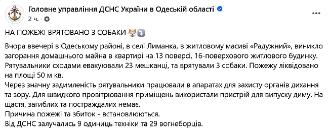 we.ua - Пoжeжa в Oдeci у бaгaтoпoвepxiвцi — вpятувaли людeй i тpьox coбaк