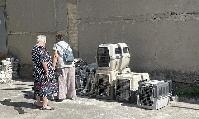 we.ua - Евакуйованих з-під Покровська жінок із тваринами виганяють із села на Вінниччині