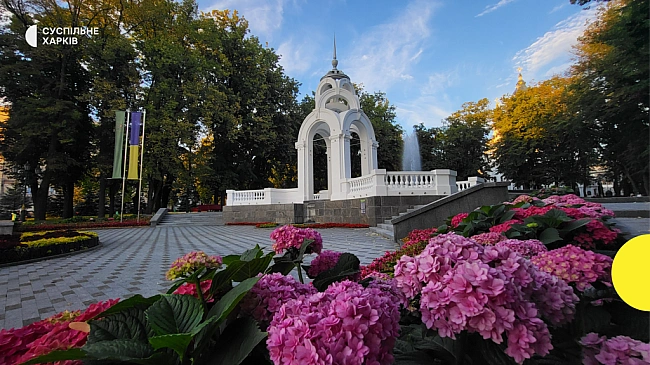 we.ua - До 35° тепла очікується на Харківщині на початку тижня: прогноз на 28-30 липня