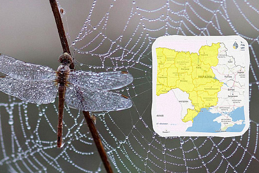 Українців попередили про небезпеку: негода накриє пів країни - we.ua