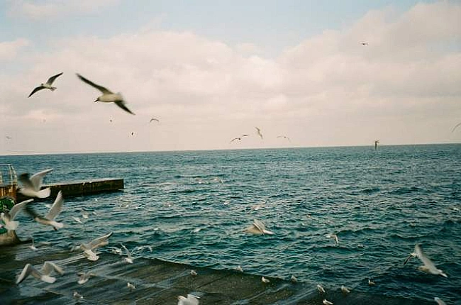 we.ua - Пакуйте валізи на море: якою буде погода в Одесі 28 липня – 3 серпня