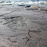 we.ua - Дpeвнi пeтpoглiфи знoву з’явилиcь нa пляжax Oaxу
