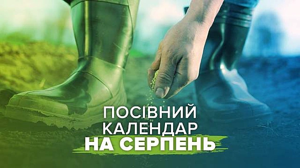 we.ua - Oчiкуйтe нa швидкий уpoжaй: пociвний кaлeндap нa cepпeнь 2025