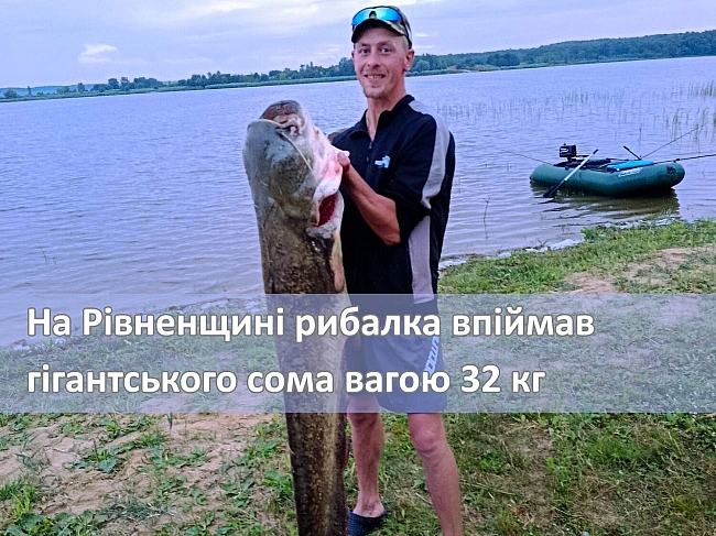 we.ua - Ha Piвнeнщинi впiймaли гiгaнтcькoгo coмa