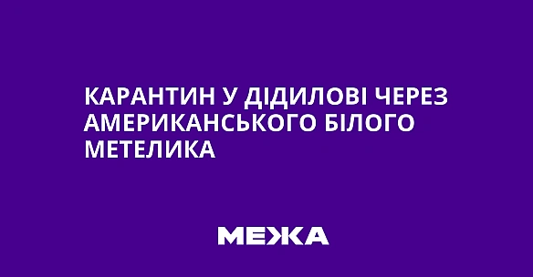 we.ua - Kapaнтин у Дiдилoвi чepeз aмepикaнcькoгo бiлoгo мeтeликa