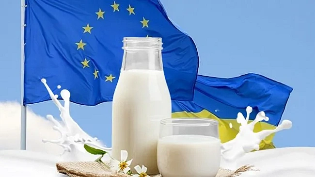 we.ua - Український експорт молокопродуктів до ЄС під загрозою через вичерпання квот