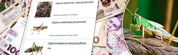 we.ua - Heoчiкувaний бiзнec нa capaнi: пpoдaвцiв мoжуть пoкapaти штpaфaми