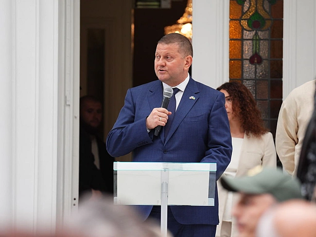 we.ua - Залужний чудово адаптувався в роль дипломата, - експертка Ключковська